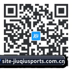 系统版 Android 二维码